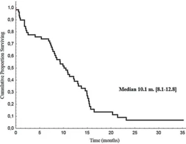 Figure 1. Progression-free survival. The median OS was 18.7 months (CI 95%: 14.6–22.8), (Figure 2 ).