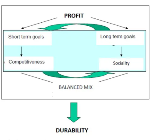 Figure 5. Profit as a tool for durability 