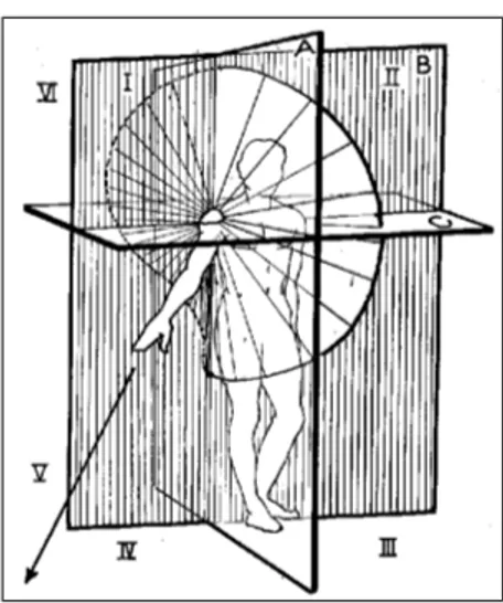 Figura 5: Il “range of motion” dell’articolazione della spalla.