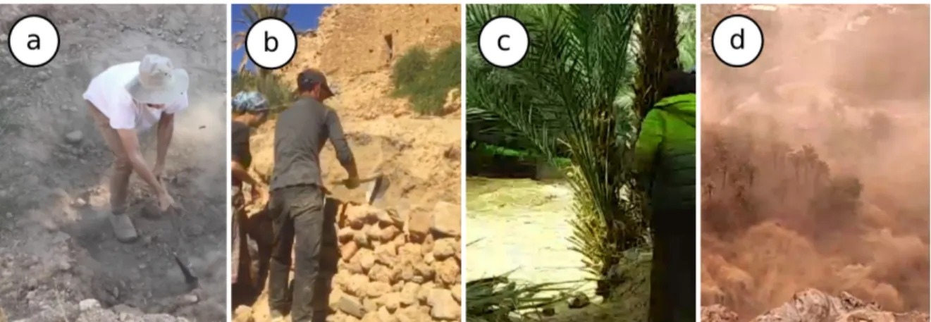 Figure 6. Field surveys and direct observation: (a) observation of the granulometry, type of rocks and roots effect on collapsed terraces