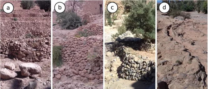 Figure 2. Documentation of the dry stone structures: (a) terraces on a slope, in the foreground a recountouring of the wall in a place broken by a palm tree currently removed, (b) a dry wall with adult plants of Capparis spinosa consolidating it, (c) dry w