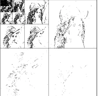 Figure 1: Significance-map of a four-level decomposition of the image Lena.