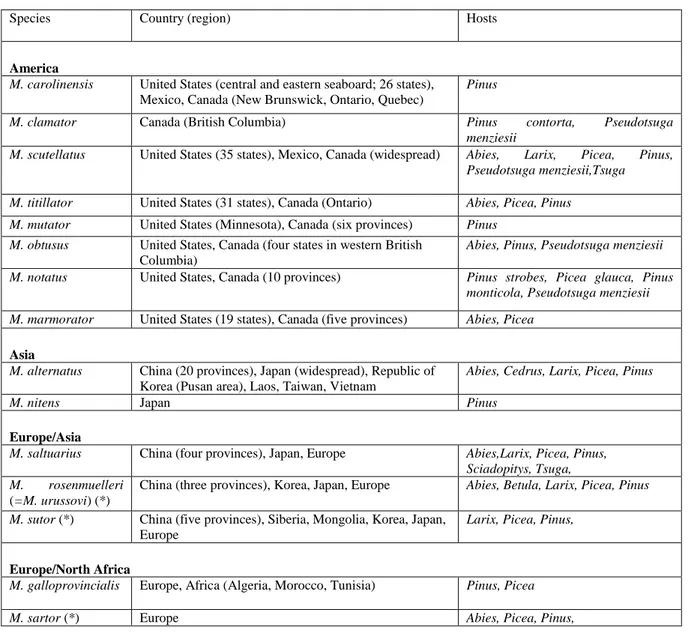 Table 8:   List  of  Monochamus  species  from  coniferous  trees,  known  to  be  vectors  of  PWN  or  considered  to  be  potential  vectors  (*)  (Sources:  Bowers  et  al.,  1992;  Akbulut  and  Stamps,  2011;  Leland Humble, Canada, personal communic