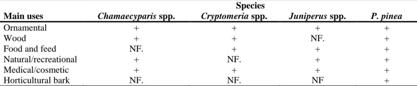 Table 11:   Summary  of  the  main  uses  of  the  plant  genera  Chamaecyparis,  Cryptomeria  and  Juniperus and the species P