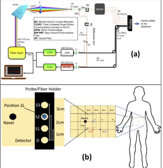 Fig. 1. (a) Schematic of the broadband time resolved diffuse optical spectrometer used for