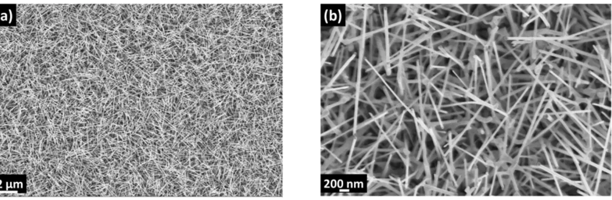 Figure 2. (a) 10kand (b) 50k × Magnified SEM images of SnO 2  nanowires. 