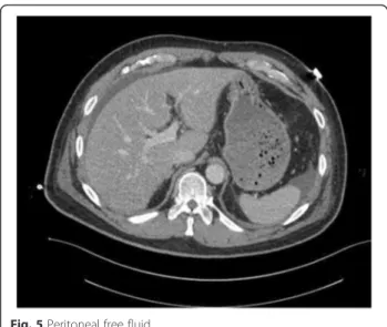 Fig. 5 Peritoneal free fluid