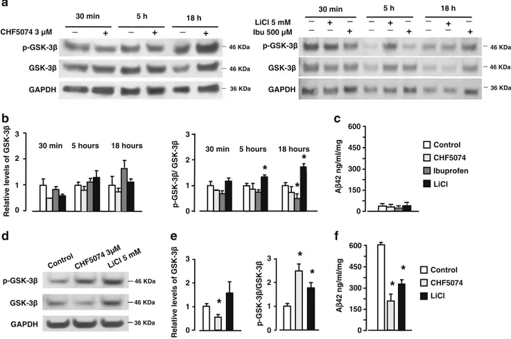 Fig. 4 Western blot analysis of GSK-3 β phosphorylation in neuronal cultures exposed to 3 μM CHF5074, 500 μM ibuprofen, or 5 mM LiCl