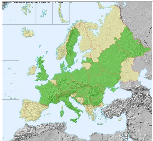 Figure 3: Distribution of Phenacoccus aceris extracted on the 11 May from Fauna Europaea (2017)
