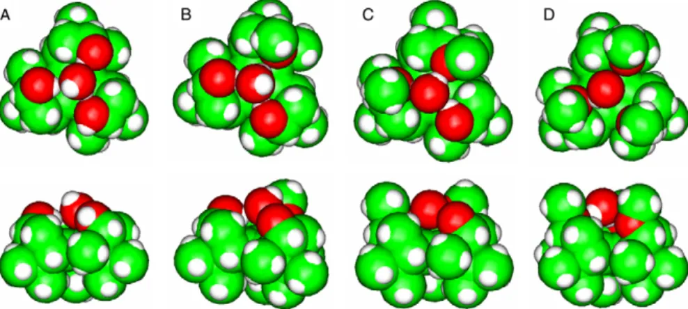 Fig. 5. Top (upper row) and front (lower row) views of the simulated solutes including the water molecule bound within the hydrophilic cavity: (A) BTB, (B) BTB-1m, (C) BTB-2m, (D) BTB-3m