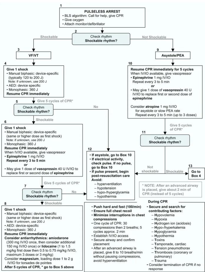 Figure 3. Advanced cardiac life support pulseless arrest algorithm. Reprinted with permission from Circulation 2005;112:IV57–66