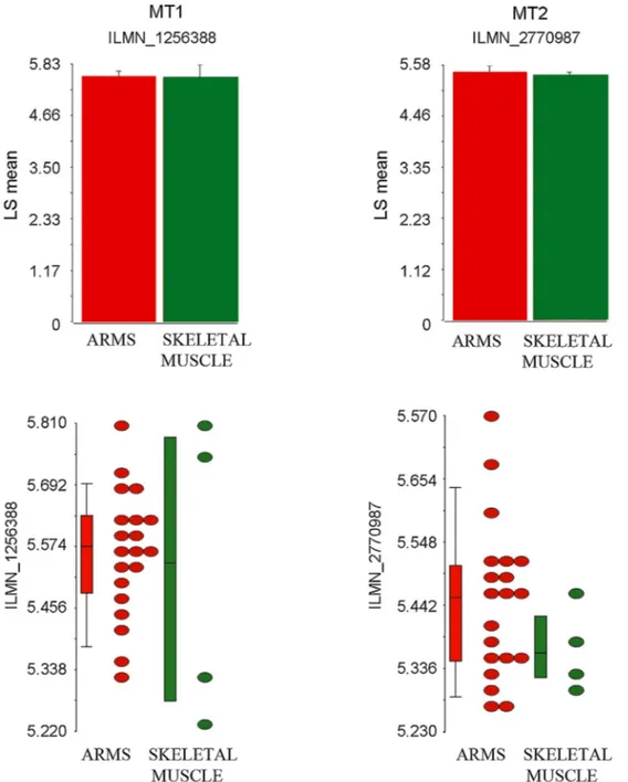 Fig. 5. Dot plot graphs and relative mean histograms representing the transcriptional levels of MT1 (ILMN 1256388 probe number) and MT2 (ILMN 2770987 probe number), as detected in silico by performing a comparison between twenty ARMS samples and four skele