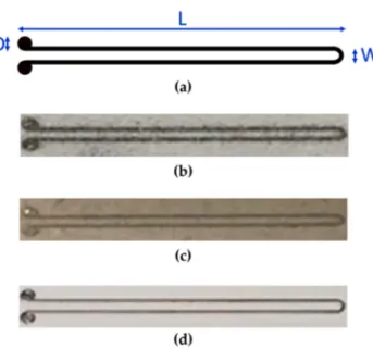 Figure 2. (a) Pattern and geometrical dimensions of printed samples (L = 22.5 mm, D = 1 mm, W = 1 mm)