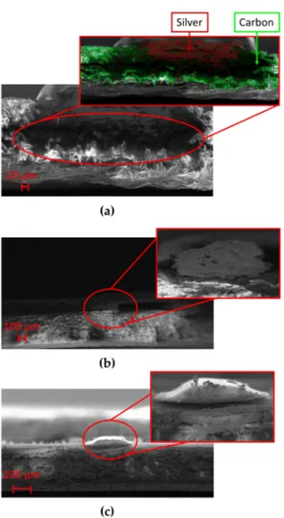 Figure 6. Cross-section magnification performed thanks to the abovementioned field emission scanning electron microscope (FE-SEM) for samples printed on (a) chromatographic paper, (b) cardboard, and (c) photopaper.