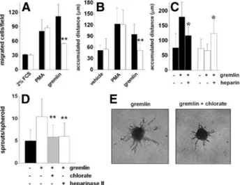 Figure 9. Sulfated K5 derivatives inhibit the angiogenic activity