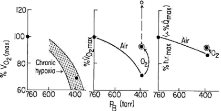 Fig. 2 Left panel Maximal oxygen consumption ( _ V O 2max ), ex-
