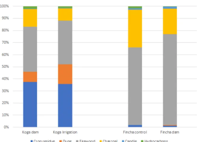 Figure 4. Main types of fuel used in the last 30 days. 