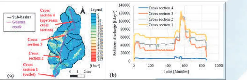 Fig. 1. Panel (a) shows Guerna catchment map of computed sediment yield (Y s ) for the 2011 flood event applying MUSLE model, the 7 sub- sub-basins and the position of the 4 cross sections analysed in the HEC-RAS model