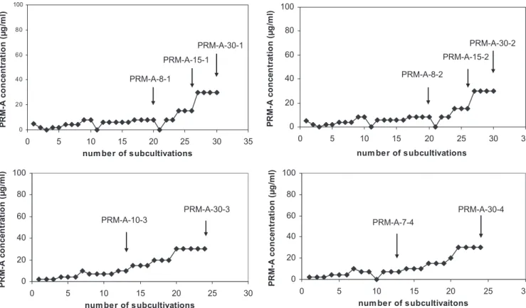 FIG. 5. Four independent selection pathways for PRM-A-resistant HIV-1 strains. The drug concentrations were increased when a marked viral cytopathic effect was observed in the cell cultures