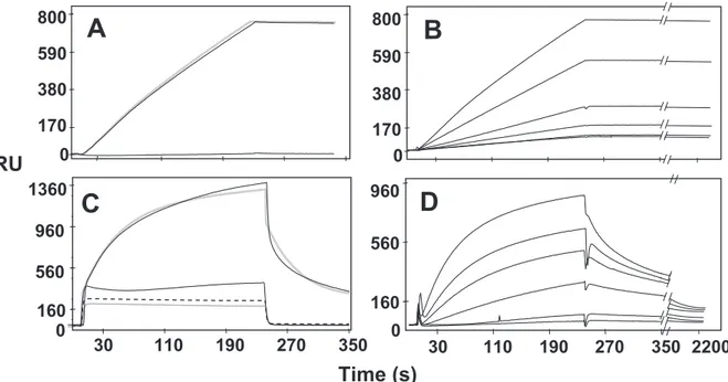 TABLE 6. Binding parameters of the interactions of HHA and PRM-A to gp120 immobilized to a BIAcore sensor chip a