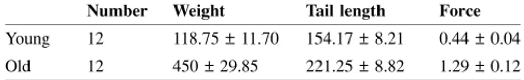 Table I.  The mean weight (g ±  SD ), tail length (mm ±  SD ) and force (N ± SD ) required to close a loop of 14 vertebrae in the two groups of rats