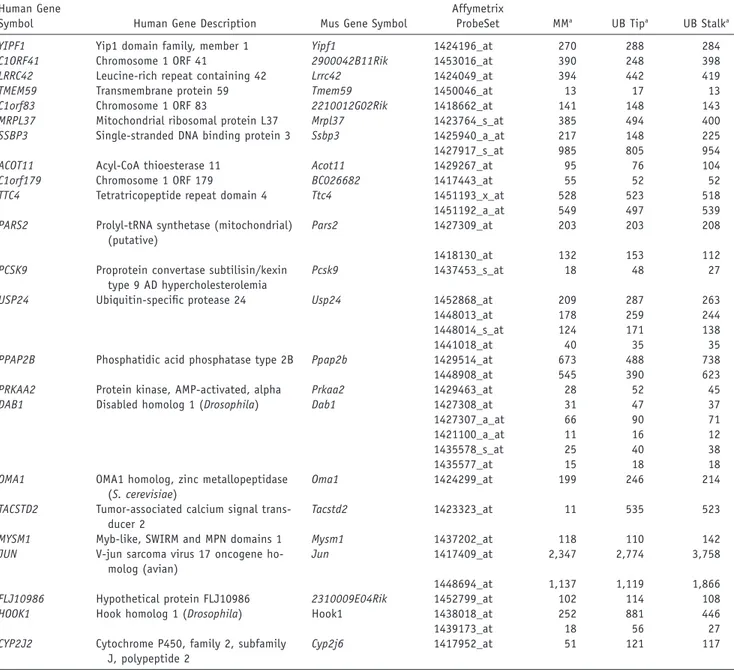 Table 3. List of Positional Candidates with Detectable Expression in the Developing Murine Urinary Tract