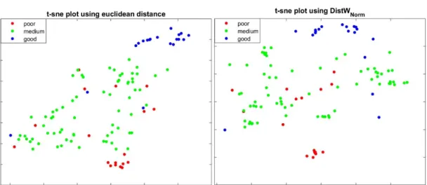 FIGURE 10. t-sne decomposition of points in dataset Y1. Left: t-sne is computed by using the euclidean distance