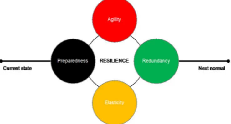 Fig. 1. Elements of crisis resilience.