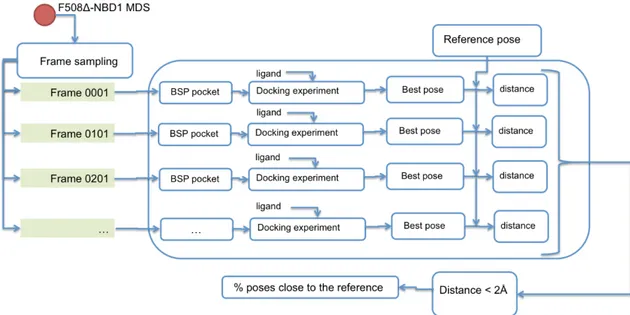 Figure 11. Workflow of the applied ligand-protein inverse docking technique. 