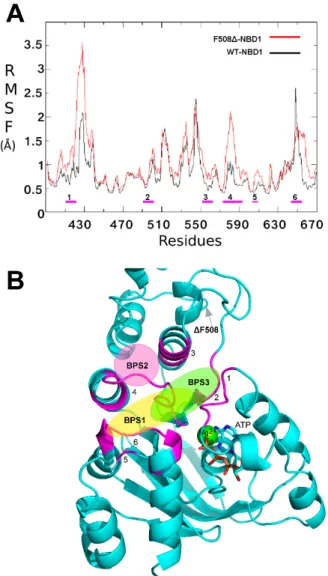 Figure 2. (A) Root mean square fluctuation (RMSF) of ΔF508-NBD1 protein. RMSF values for ΔF508  and WT NBD1 are reported in red and black respectively