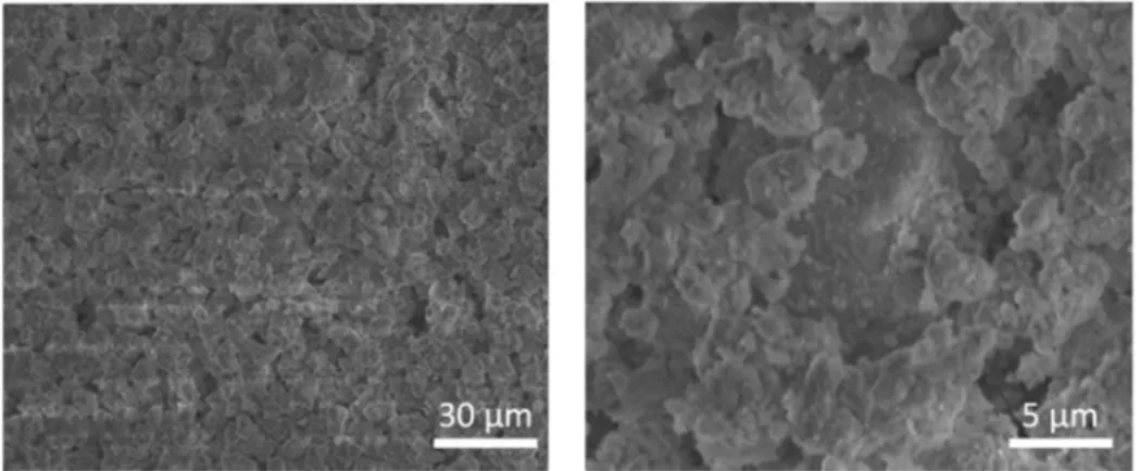 Figure 6. SEM images of flue gas desulfurization (FGD) reported at different magnifications.