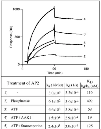 Figure 4. Phosphorylation of 2 by an AP2-associated kinase or  recombinant AAK1 increases the AP2 binding affinity for sorting  signals