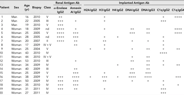 Table 2 shows the glomerular level of each antibody; in Fig- Fig-ure 1G, multiple positivities were analyzed with cluster  anal-ysis (heat map)