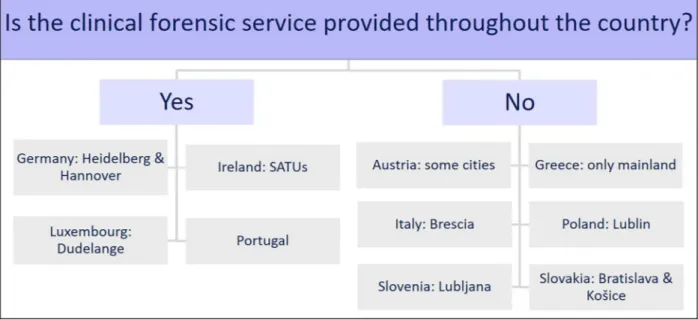 Figure 3. Regional service limitations. SATUs: sexual assault treatment units.