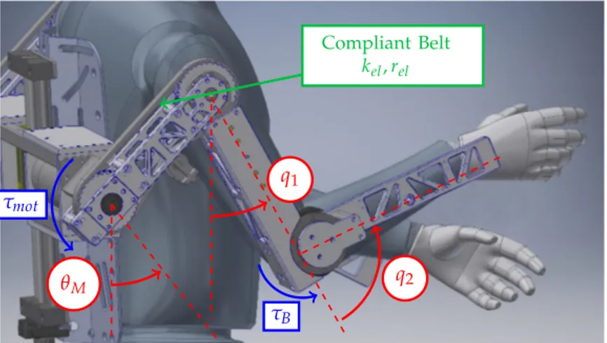 Figure 6. Elastic belt and joint torques are highlighted on the proposed exoskeleton model.