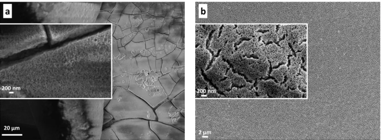 Figure 2. FE-SEM images of nanoporous TiO 2  surface (a) synthesized with oxidation of 1 µm Ti thin  film in 15% H 2 O 2  solution, (b) with oxidation of 100 nm Ti thin film in 2% H 2 O 2  solution