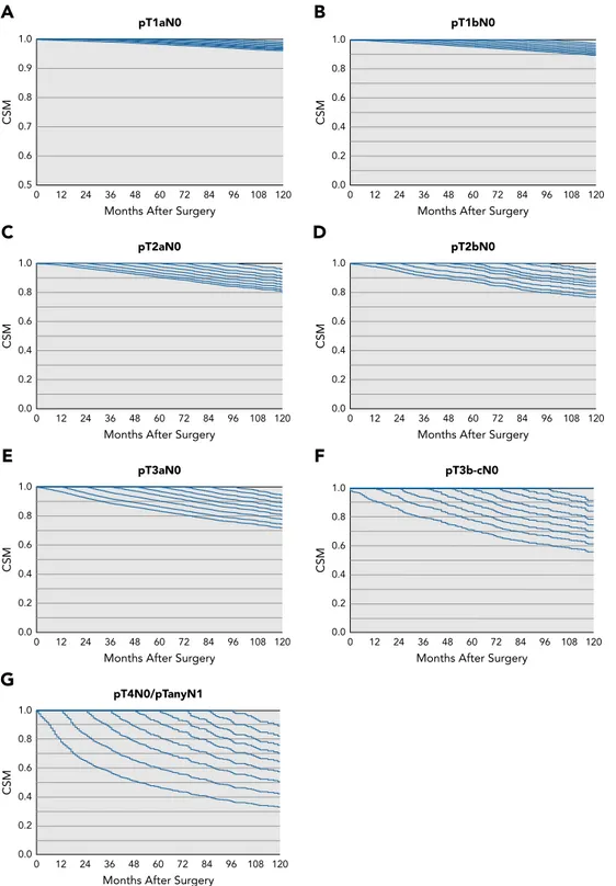 Figure 1. Conditional CSM-free survival rates after nephrectomy for patients with (A) pT1aN0, (B) pT1bN0, (C) pT2aN0, (D) pT2bN0, (E) pT3aN0, (F) pT3b –cN0, and (G) pT4N0/pTanyN1 nonmetastatic renal cell carcinoma.