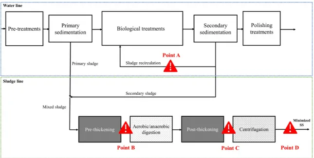 Figure 3. Points of possible application of advanced treatments in a conventional WWTP, in order to  minimize the production of SS, in the water line (Point A) and in the sludge line: before hypothetical  stabilization (Point B), before hypothetical centri