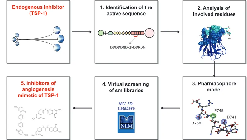 figure 3: schematic representation of the approach undertaken to develop non peptidic, small molecule inhibitors of  angiogenesis mimetic of tsp-1