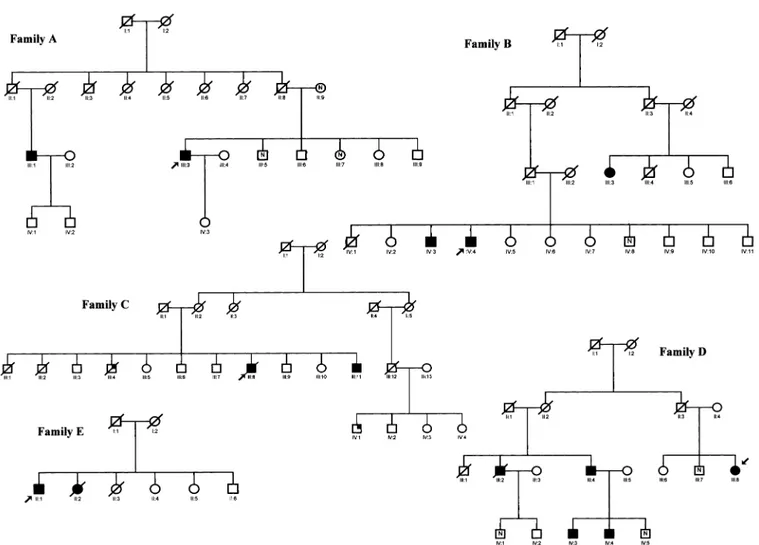 Figure 1. Family trees of 5 kindreds with apoA-I amyloidosis (families A–E). Probands are indicated by arrows