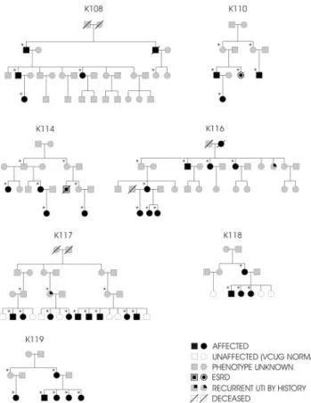 Figure 1. Pedigree structure of the seven kindreds studied.