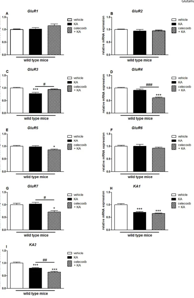 Figure 6. Effects of pretreatment with celecoxib on KA-induced expression of AMPA/KA receptor subunits in the cortex of wild type mice