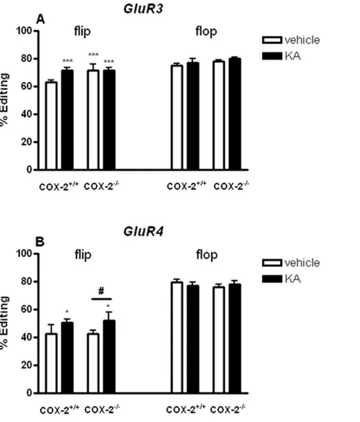 Figure 9. KA-induced editing of AMPA editing site glutamate receptor subunits in the hippocampus of COX-2 +/+ and COX-2 2/2