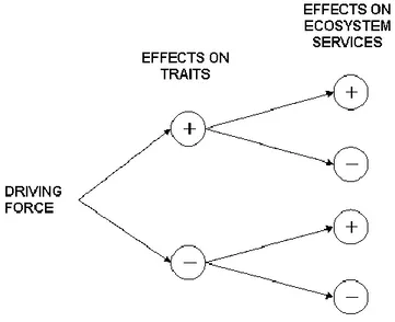 Figure 6:   The  pest  (driving  force)  can  positively  or  negatively  influence  the  functional  traits  of  the 