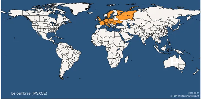 Figure 1: Global distribution map for Ips cembrae (extracted from EPPO global database accessed on 11 September 2017)