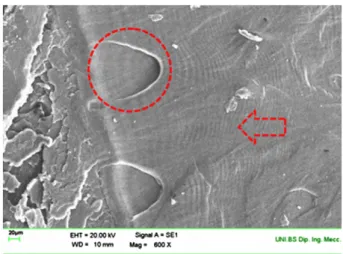 Fig. 4. SEM details of fatigue fracture surface of neat PEEK.