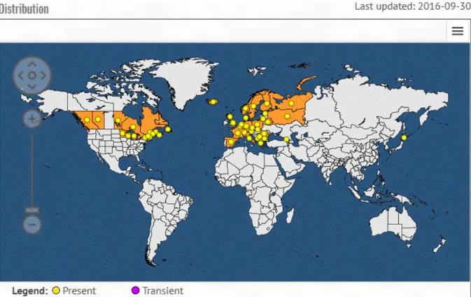 Figure 1: Global distribution map for Gremmeniella abietina (extracted from the EPPO Global Database, accessed June 2017)