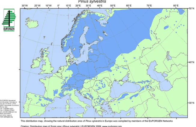 Figure 2: Native range of Pinus sylvestris in Europe (map prepared by Euforgen in 2009)