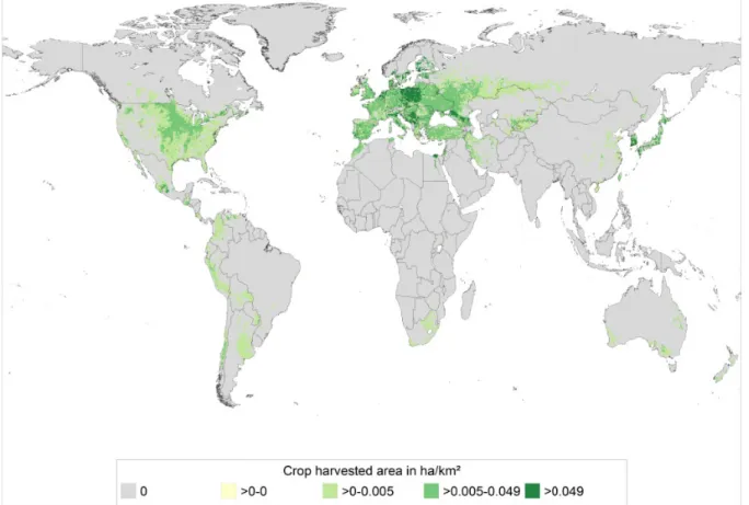 Figure 2: Global distribution of the density of harvested strawberry (ha crop/km 2 ) (source CAPRA