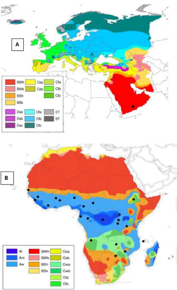 Figure 3: K €oppen–Geiger climate-type map of Europe and Arabian Peninsula (A) and Africa (B); climatic maps are from Peel et al